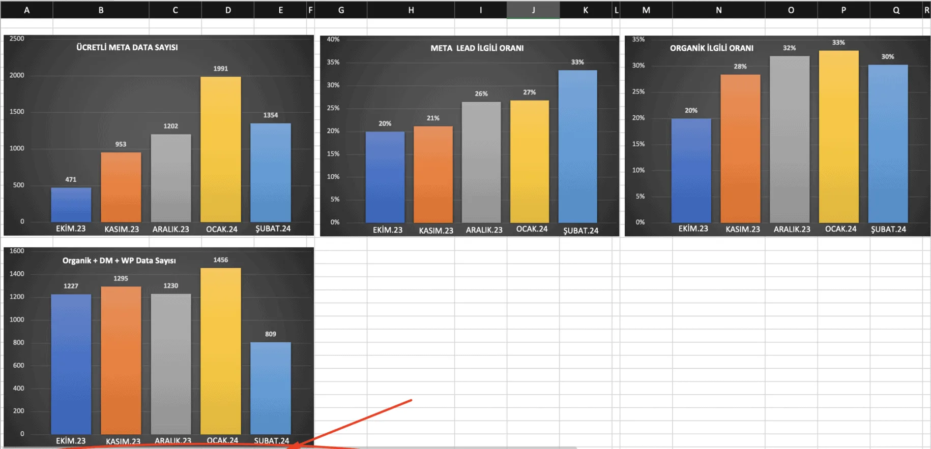 uluslararası sağlık turizmi reklam optimizasyonu 30 gün sonuçları